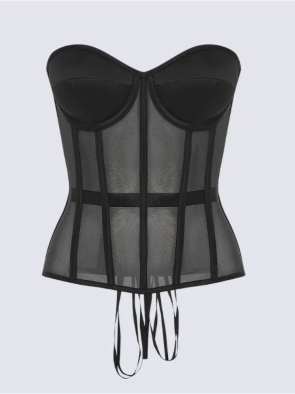 The Perfect Corset NYC Secret Form Black Sheer Boned Bustier Corset Large